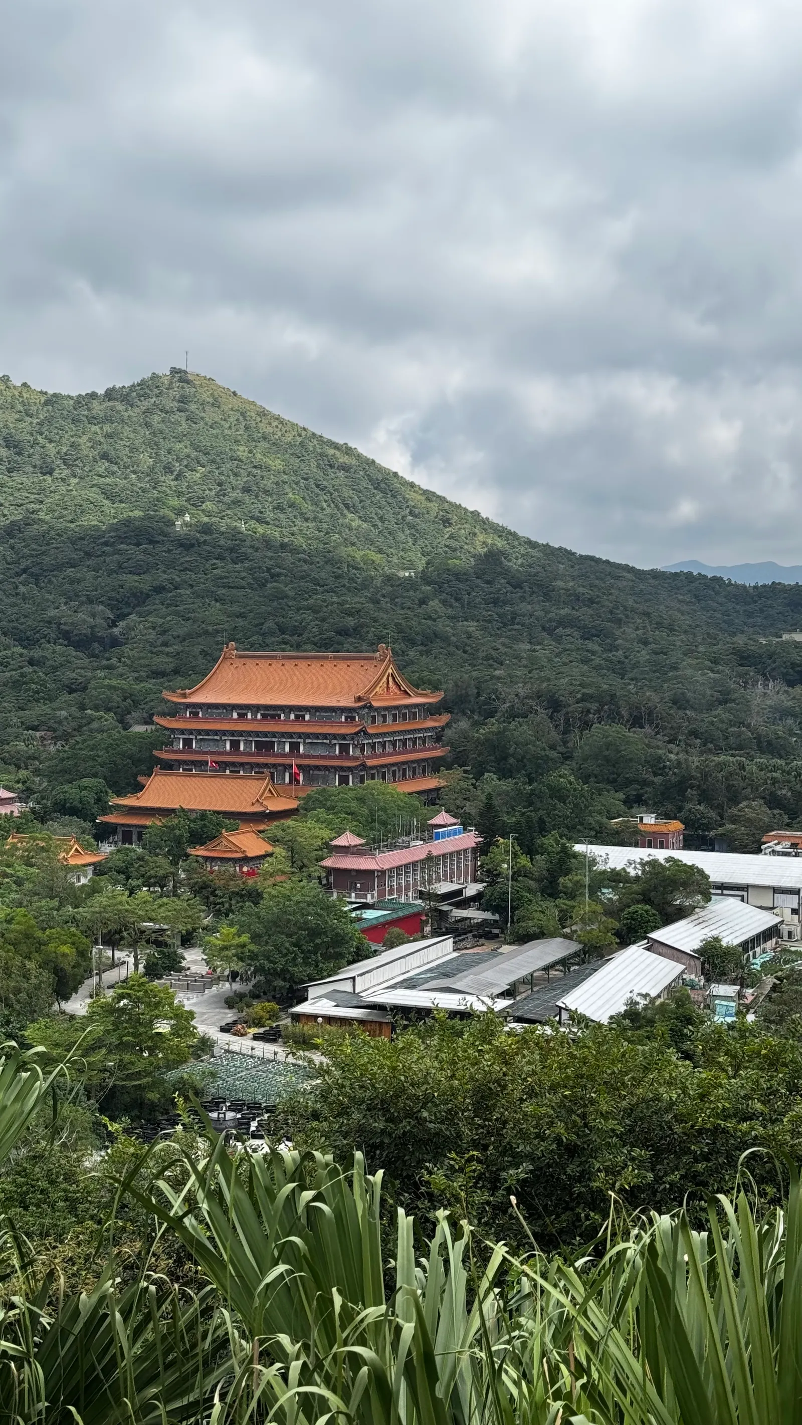 Le monastère Po Lin niché dans la montagne de Lantau