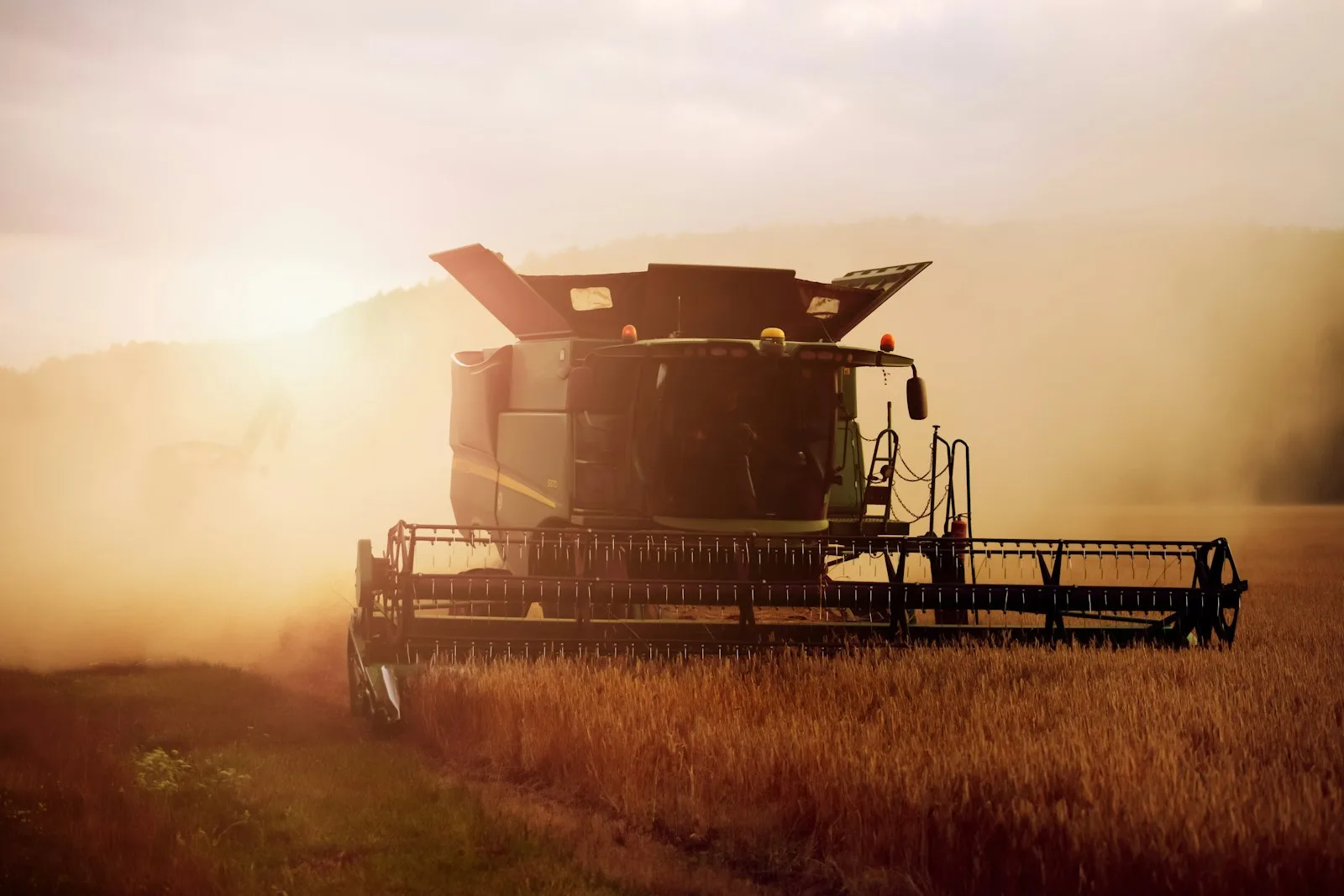 La moisson, juste avant le vrai enjeu : conserver le grain pendant les mois de stockage.